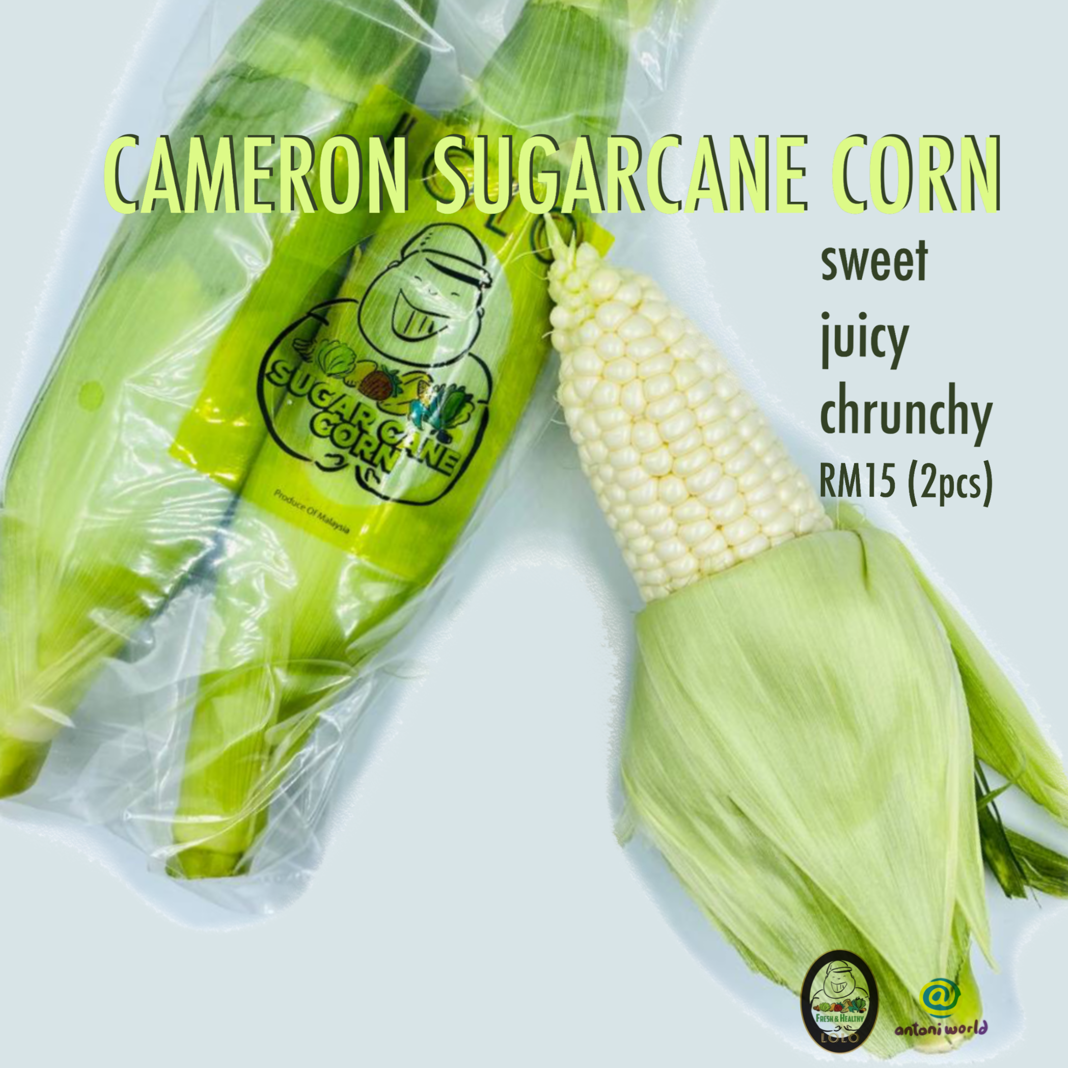Sweet Corn2