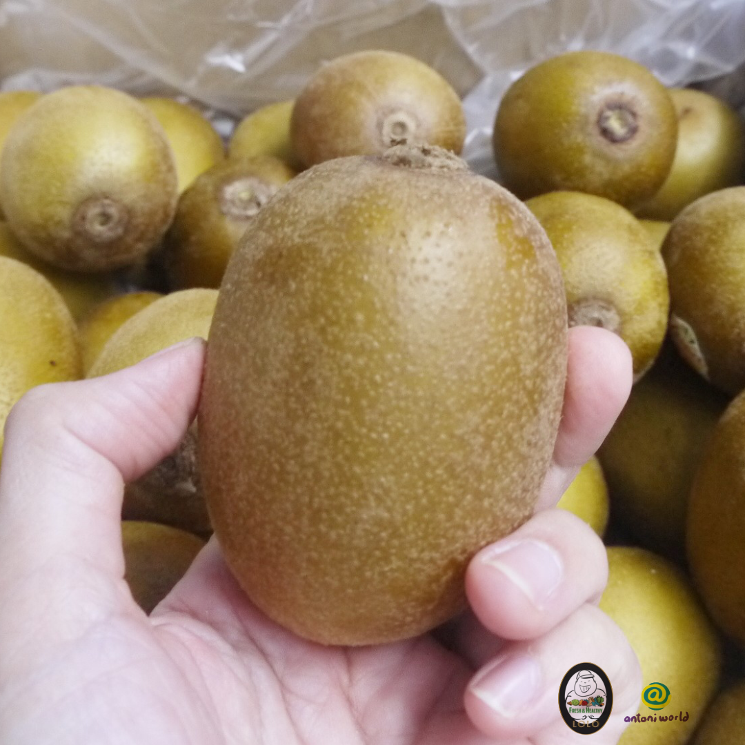 Gold Kiwi (5)